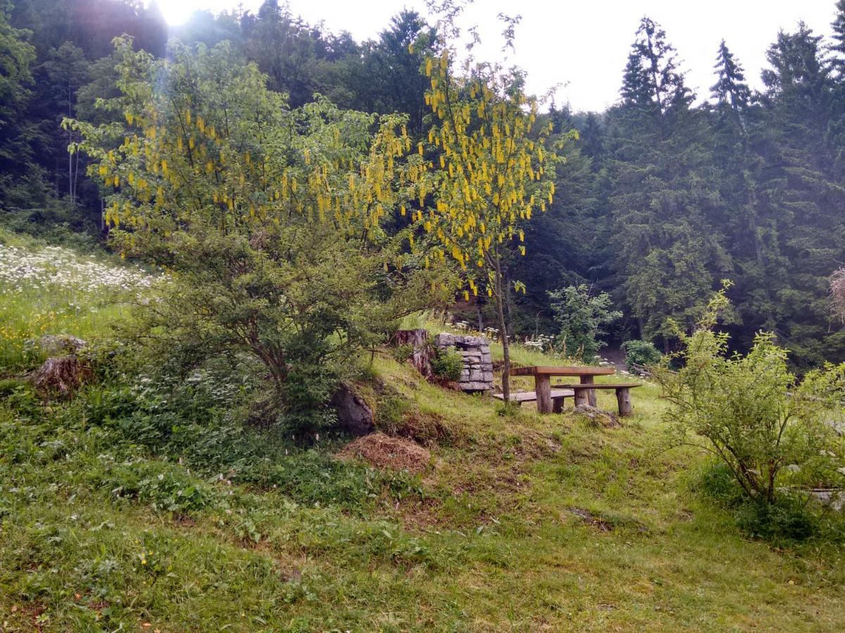 Agritur Manoncin Villa Daone Eksteriør bilde